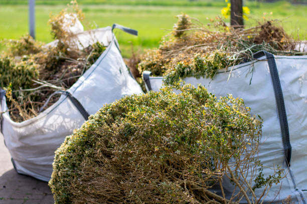 Best Full-Service Junk Removal  in Hawaiian Paradise Park, HI